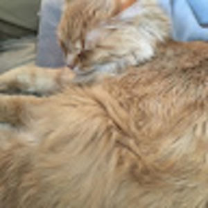 Meet your Posher, Bryce